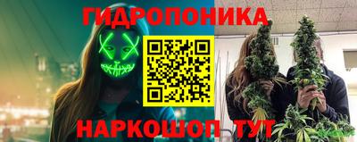гидра Беслан