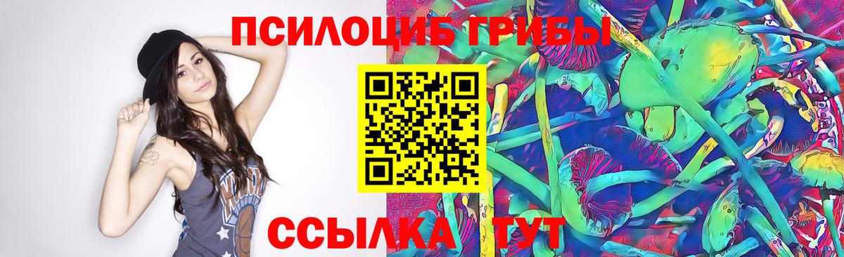 Всеволожск  Галлюциногенные грибы Psilocybine cubensis  Вход с VPN 