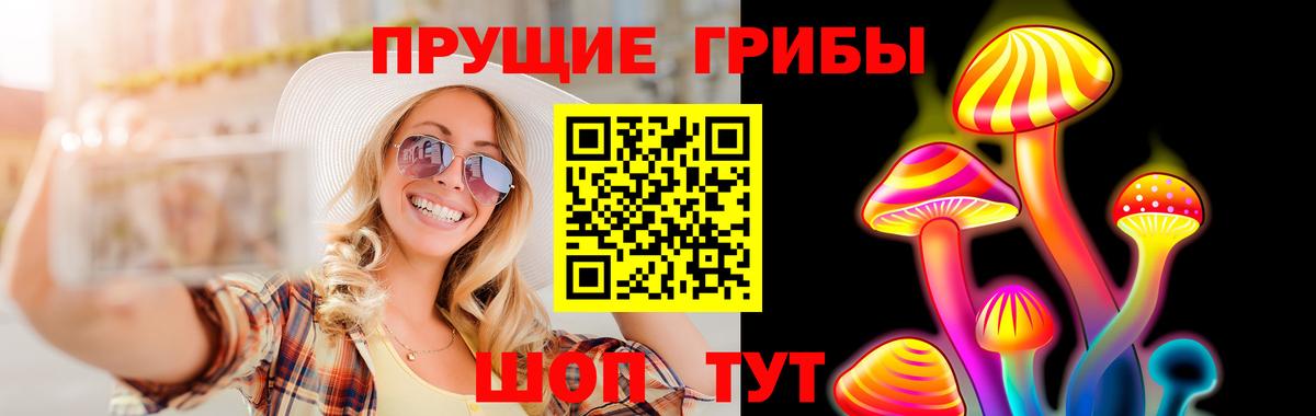 Псилоцибиновые грибы Psilocybe  как найти наркотики  Всеволожск 